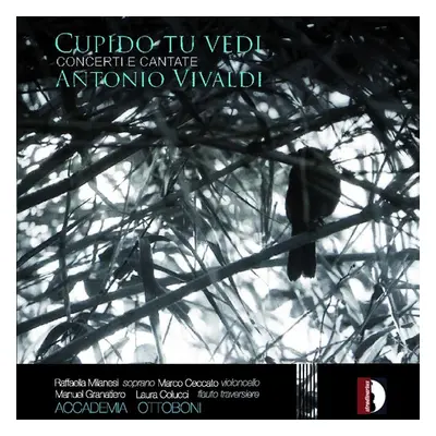 "Cupido Tu Vedi: Concerti E Cantate" ("") (CD / Album)