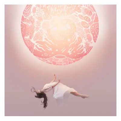 "Another Eternity" ("Purity Ring") (Vinyl / 12" Album)