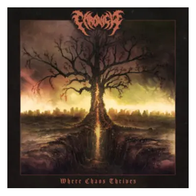 "Where Chaos Thrives" ("Chronicle") (Vinyl / 12" Album)