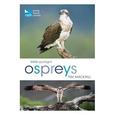 "Rspb Spotlight Osprey" - "" ("Mackrill Tim")(Paperback)