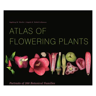 "Atlas of Flowering Plants: Visual Studies of 200 Deconstructed Botanical Families" - "" ("Niesl