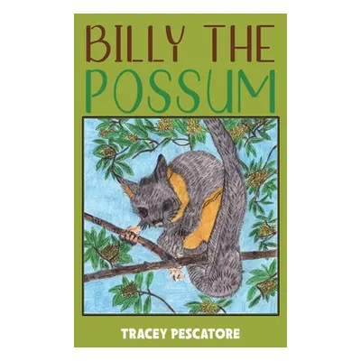 "Billy the Possum" - "" ("Pescatore Tracey")(Paperback)