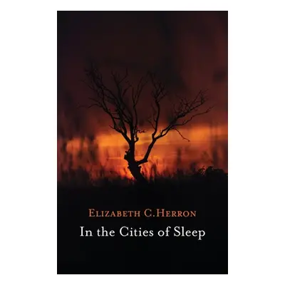 "In the Cities of Sleep" - "" ("Herron Elizabeth")(Paperback)