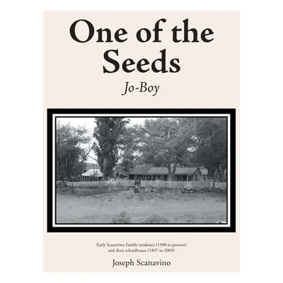 "One of the Seeds: Jo-Boy" - "" ("Scanavino Joseph")(Paperback)