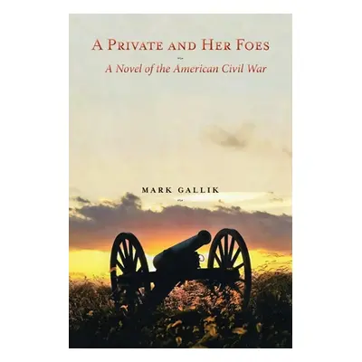 "A Private and Her Foes: A Novel of the American Civil War" - "" ("Gallik Mark")(Paperback)