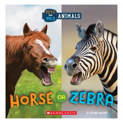 "Horse or Zebra (Wild World: Pets and Wild Animals)" - "" ("Maloney Brenna")(Paperback)