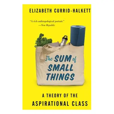 "The Sum of Small Things: A Theory of the Aspirational Class" - "" ("Currid-Halkett Elizabeth")(