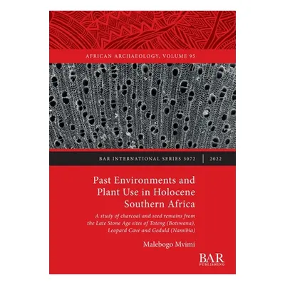 "Past Environments and Plant Use in Holocene Southern Africa: A study of charcoal and seed remai