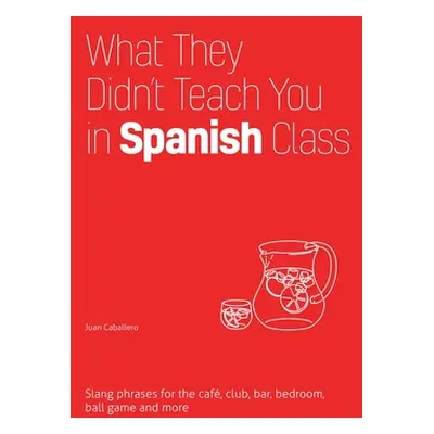 "What They Didn't Teach You in Spanish Class: Slang Phrases for the Cafe, Club, Bar, Bedroom, Ba