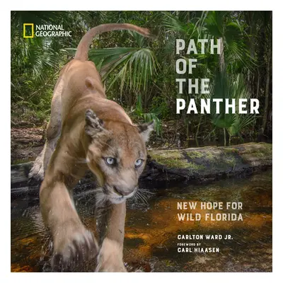 "Path of the Panther: New Hope for Wild Florida" - "" ("Ward Carlton")(Pevná vazba)