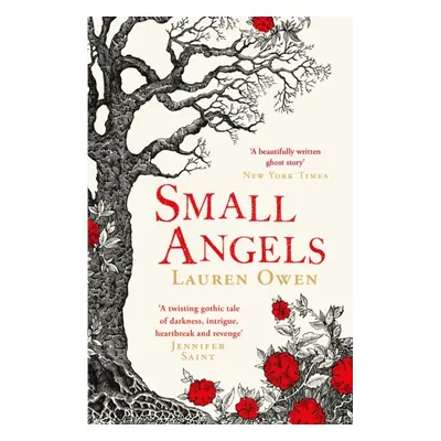 "Small Angels" - "'A twisting gothic tale of darkness, intrigue, heartbreak and revenge' Jennife