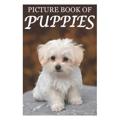 "Picture Book of Puppies: Picture Book of Puppies: For Seniors with Dementia [Cute Picture Books