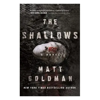 "The Shallows: A Nils Shapiro Novel" - "" ("Goldman Matt")(Pevná vazba)