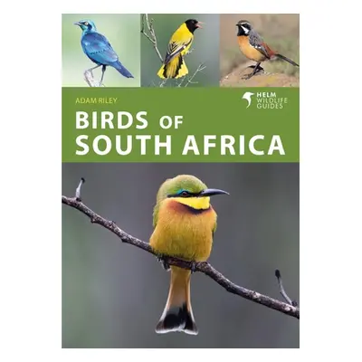 "Birds of South Africa" - "" ("Riley Adam")(Paperback)