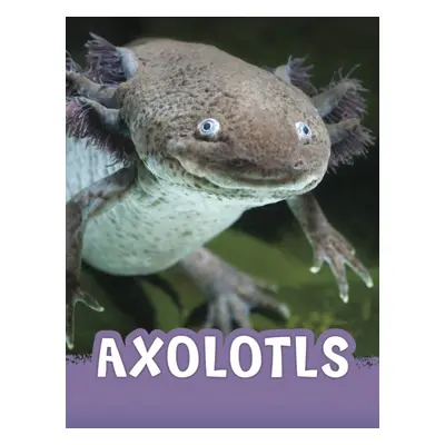 "Axolotls" - "" ("Jaycox Jaclyn")(Pevná vazba)