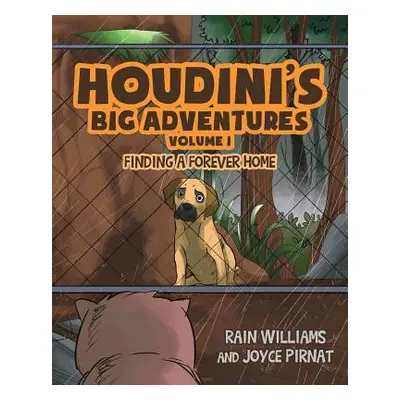 "Houdini's Big Adventures: Finding a Forever Home" - "" ("Williams Rain")(Paperback)