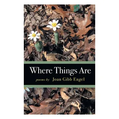 "Where Things Are" - "" ("Engel Joan")(Paperback)