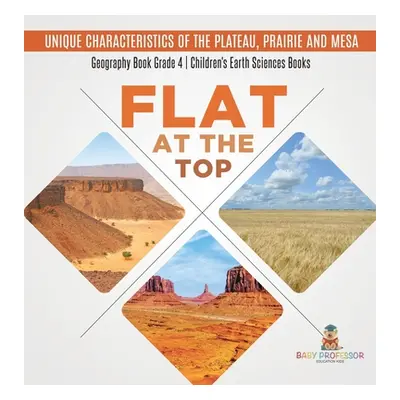 "Flat at the Top: Unique Characteristics of the Plateau, Prairie and Mesa - Geography Book Grade