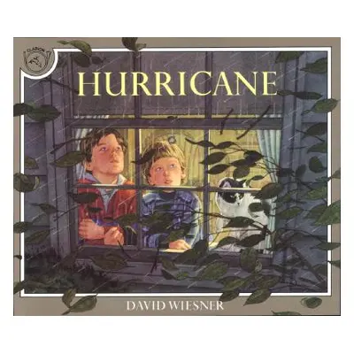 "Hurricane" - "" ("Wiesner David")(Paperback)