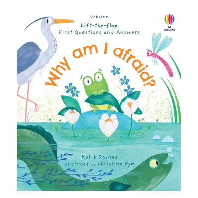 "First Questions and Answers: Why am I afraid?" - "" ("Daynes Katie")(Board book)