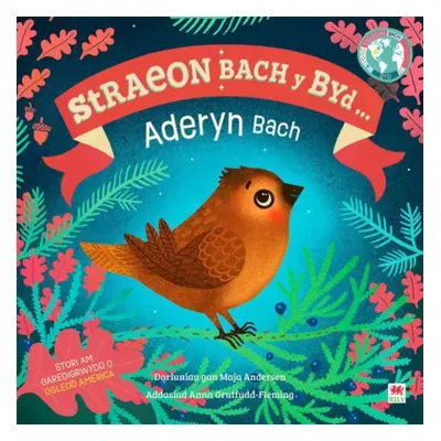 "Aderyn Bach, Yr / Little Bird, The (Cyfres Straeon Bach y Byd)" - "" ("DK")(Paperback / softbac