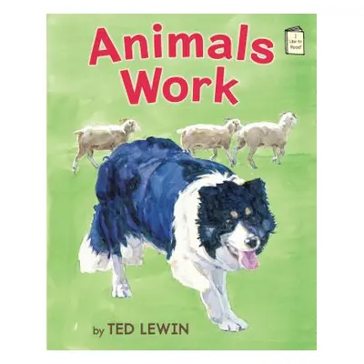 "Animals Work" - "" ("Lewin Ted")(Paperback)