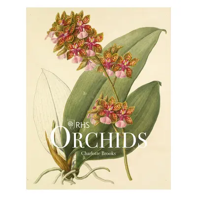 "Rhs Orchids" - "" ("Brooks Charlotte")(Pevná vazba)