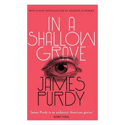 "In a Shallow Grave (Valancourt 20th Century Classics)" - "" ("Purdy James")(Paperback)