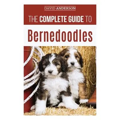 "The Complete Guide to Bernedoodles: Everything you need to know to successfully raise your Bern