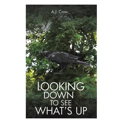 "Looking Down to See What's Up" - "" ("Crow A. J.")(Paperback)