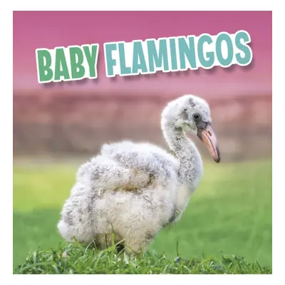 "Baby Flamingos" - "" ("Rustad Martha E. H.")(Paperback / softback)