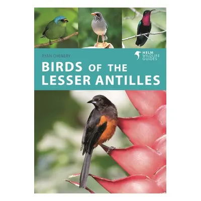 "Birds of the Lesser Antilles" - "" ("Chenery Ryan")(Paperback)