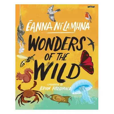 "Wonders of the Wild" - "" ("N Lamhna Eanna")(Pevná vazba)