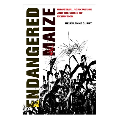 "Endangered Maize: Industrial Agriculture and the Crisis of Extinction" - "" ("Curry Helen Anne"