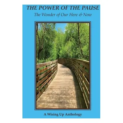 "The Power of the Pause: The Wonder of Our Here & Now" - "" ("Tosteson Heather")(Paperback)