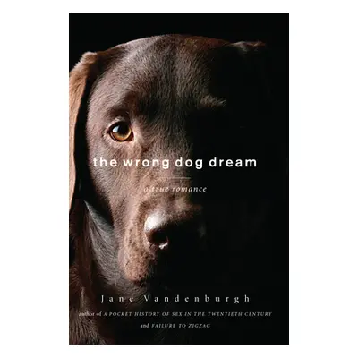 "Wrong Dog Dream" - "A True Romance" ("Vandenburgh Jane")(Pevná vazba)