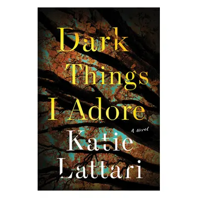 "Dark Things I Adore" - "" ("Lattari Katie")(Paperback)