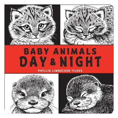 "Baby Animals Day & Night" - "" ("Tildes Phyllis Limbacher")(Board Books)