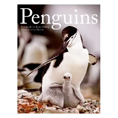 "Penguins" - "" ("Ostling Brutus")(Pevná vazba)