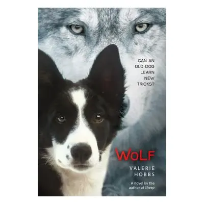 "Wolf" - "" ("Hobbs Valerie")(Paperback)