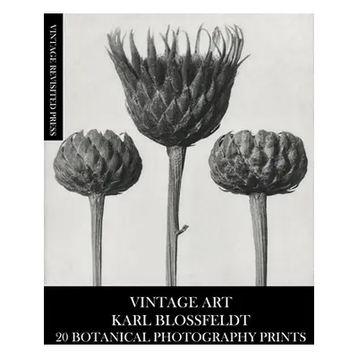 "Vintage Art: Karl Blossfeldt 20 Botanical Photography Prints" - "" ("Press Vintage Revisited")(