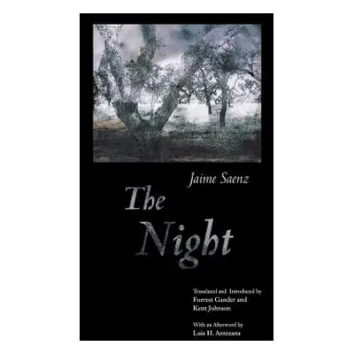 "The Night" - "" ("Saenz Jaime")(Pevná vazba)