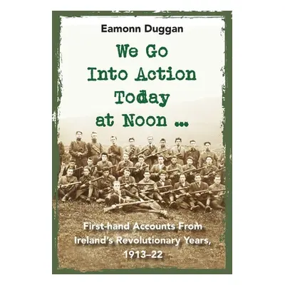 "We Go Into Action Today at Noon ...: First-Hand Accounts from Ireland's Revolutionary Years, 19