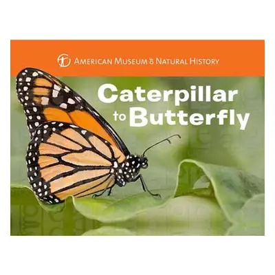 "Caterpillar to Butterfly" - "" ("American Museum of Natural History")(Board Books)