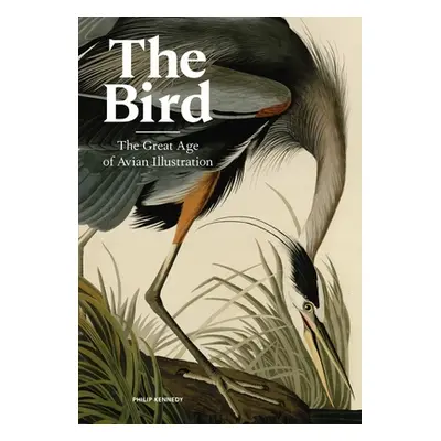 "The Bird: The Great Age of Avian Illustration" - "" ("Kennedy Philip")(Pevná vazba)