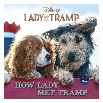 "Lady and the Tramp: How Lady Met Tramp" - "" ("Stephens Elle")(Paperback)