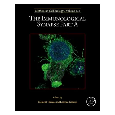 "The Immunological Synapse Part A" - "" ("Thomas Clement")(Pevná vazba)