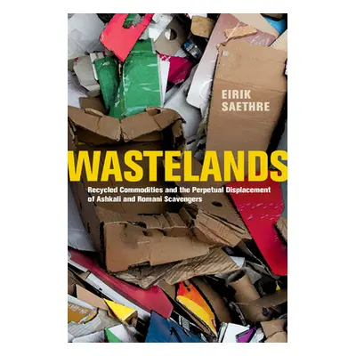 "Wastelands: Recycled Commodities and the Perpetual Displacement of Ashkali and Romani Scavenger