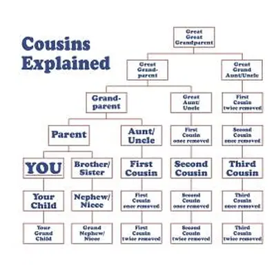 "Cousins Explained" - "" ("Designs Elderberry's")(Paperback)