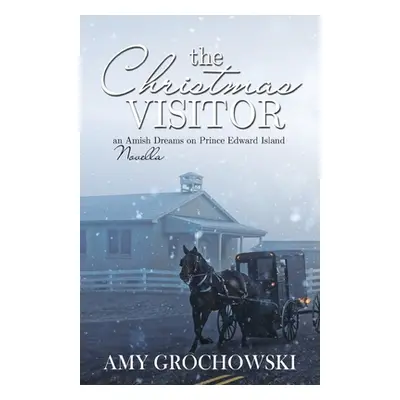 "The Christmas Visitor" - "" ("Grochowski Amy")(Paperback)